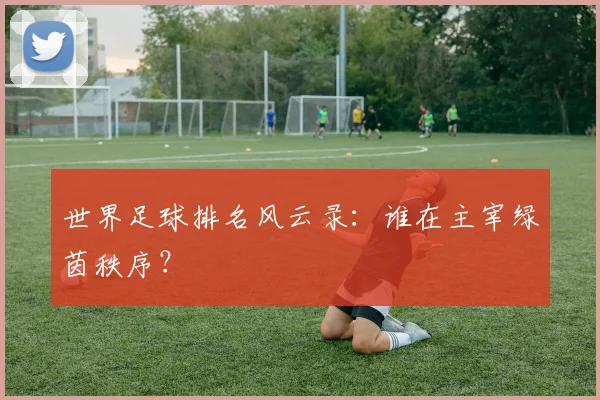 世界足球排名风云录：谁在主宰绿茵秩序？